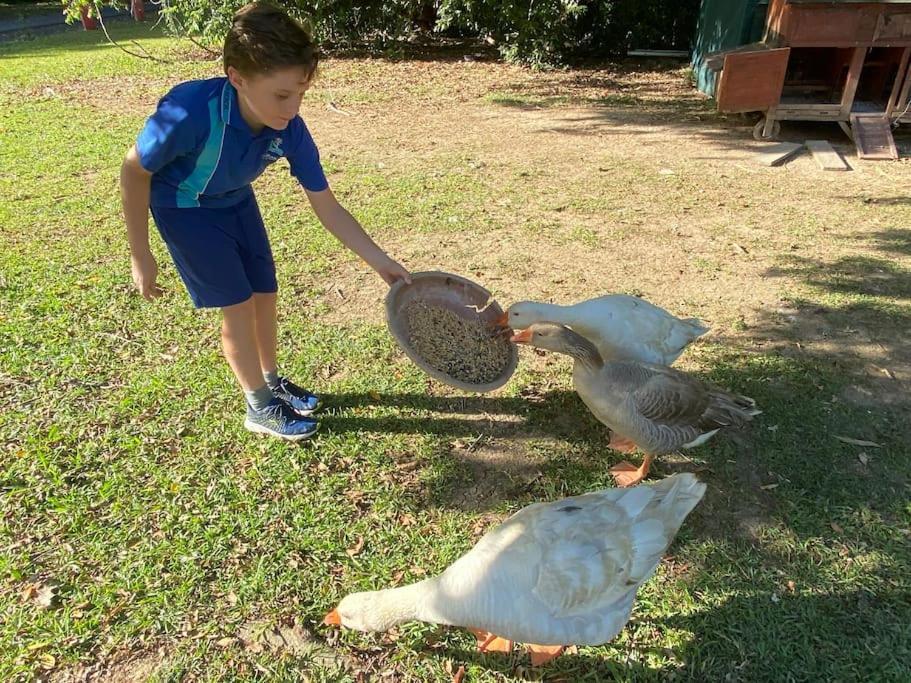 Pinbarren Green Lodges Noosa Bagian luar foto